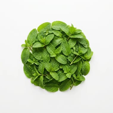 A round pile of fresh green mint leaves and sprigs on a plain white background