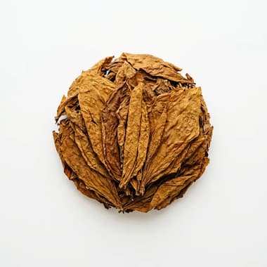 A round pile of dried golden-brown tobacco leaves on a plain white background